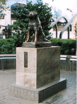 Statua di Hachiko della stazione di Shibuya